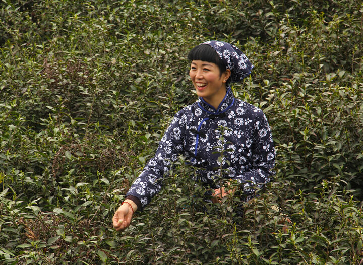 热门推荐 色猫直播